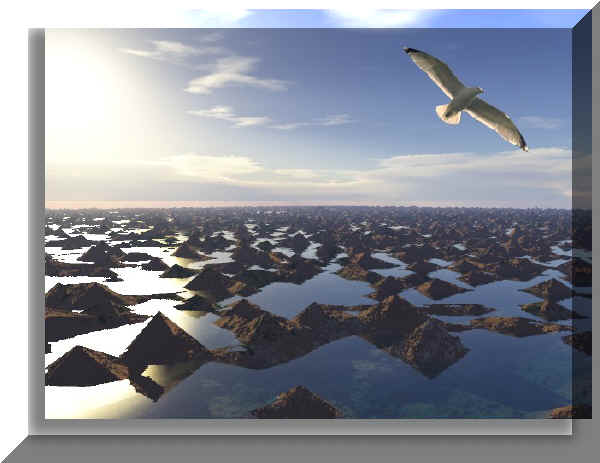 sw0404.jpg (72698 Byte)